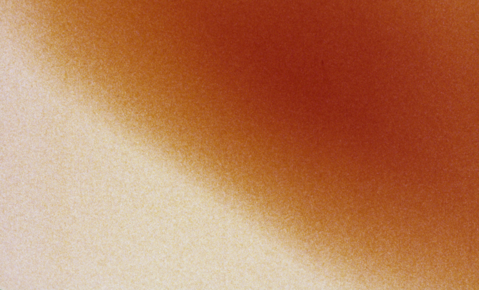Video by Paul Sietsema, , dated 2002