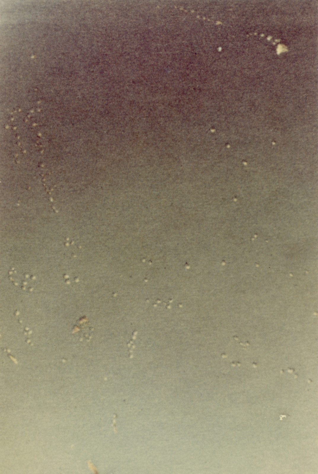 Photograph by Luigi Ghirri, , dated 1973