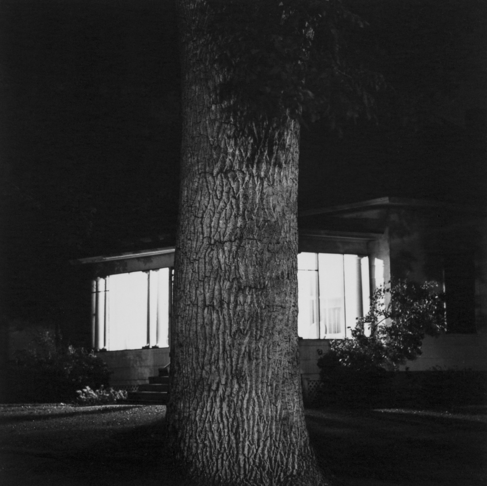 Above Boulder, Colorado, ROBERT ADAMS Summer Nights, Walking