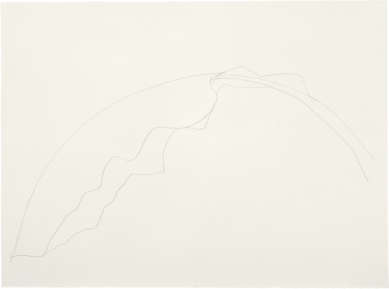 Drawing by Ellsworth Kelly, , dated 1992