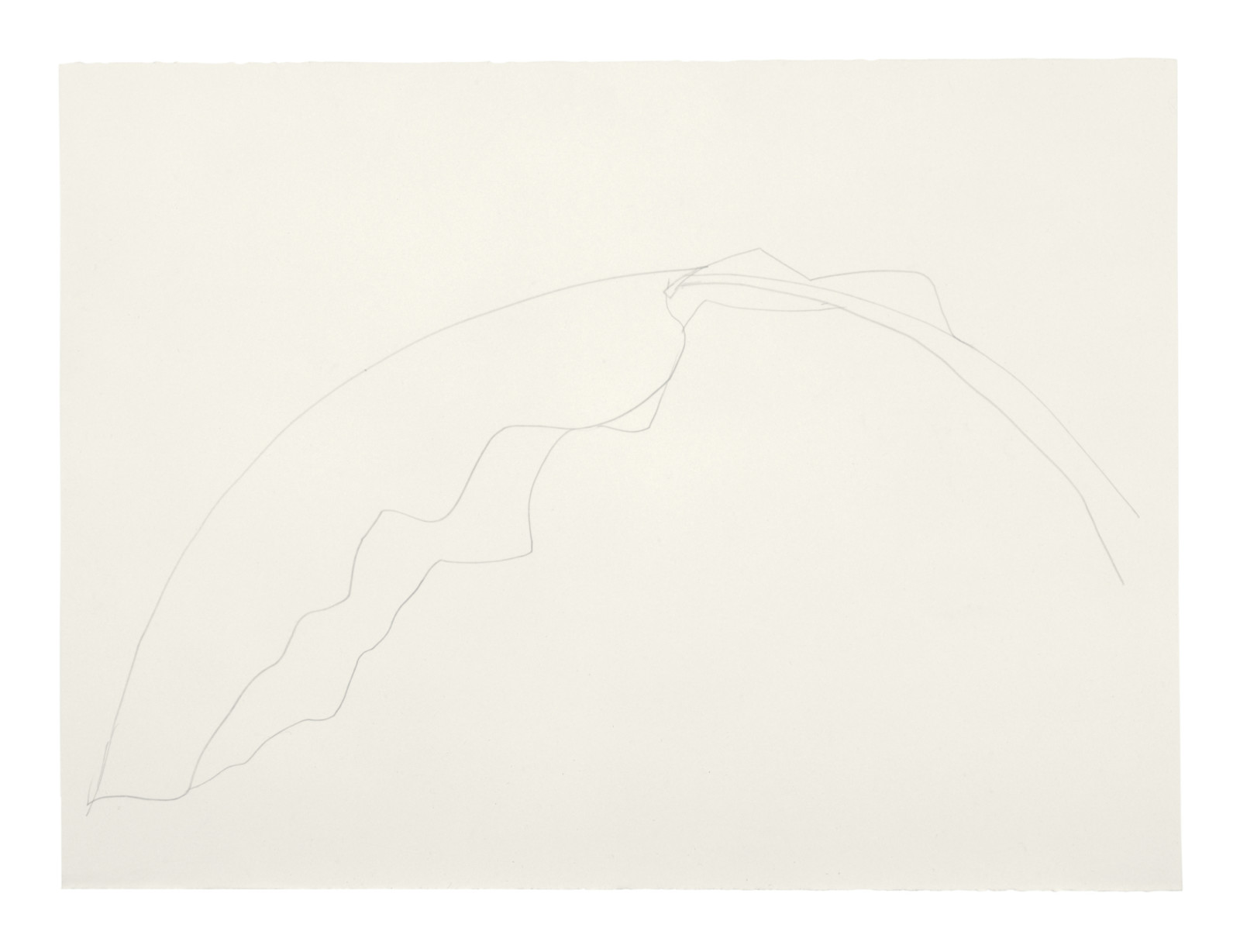 Drawing by Ellsworth Kelly, , dated 1992