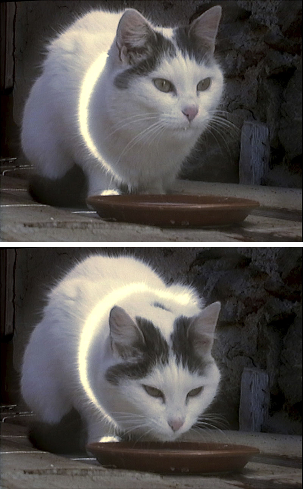 Video by Peter Fischli <span class="no_wrap">David Weiss</span>, , dated 2001