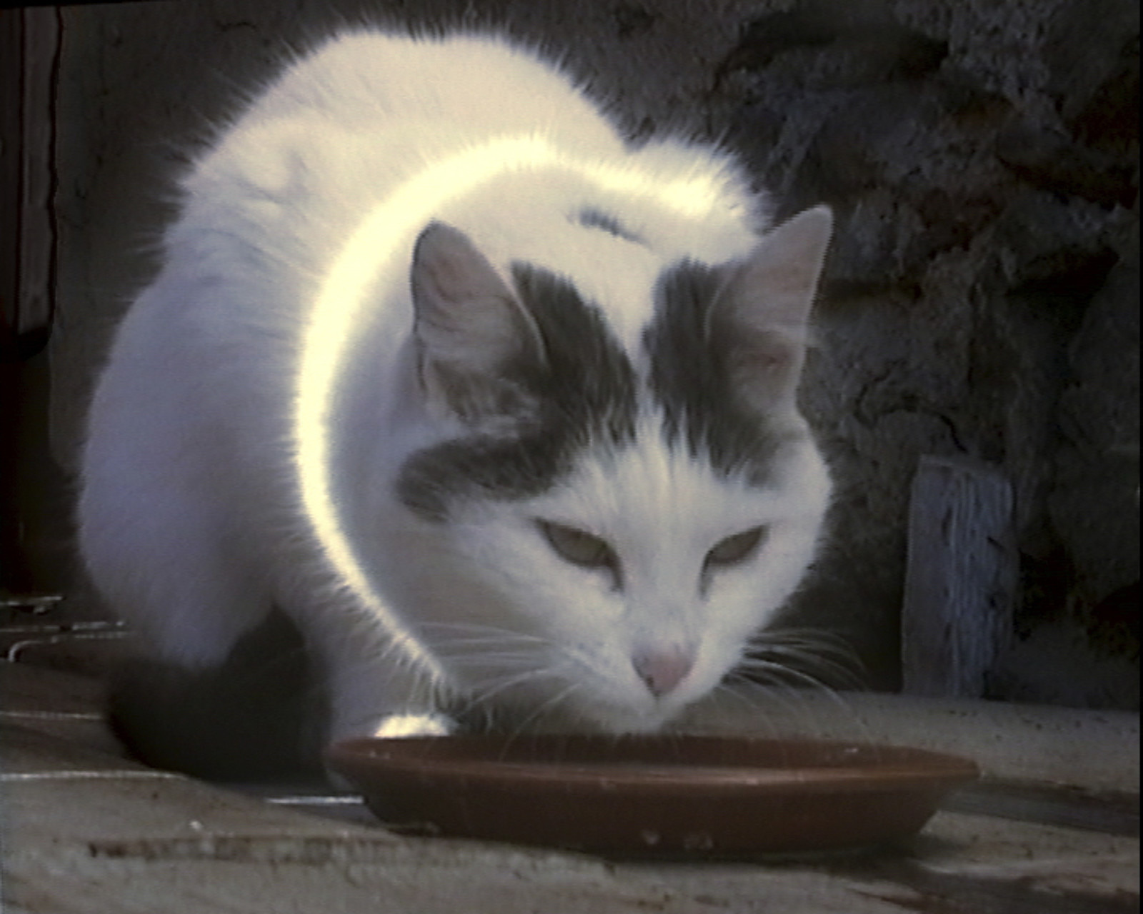 Video by Peter Fischli <span class="no_wrap">David Weiss</span>, , dated 2001