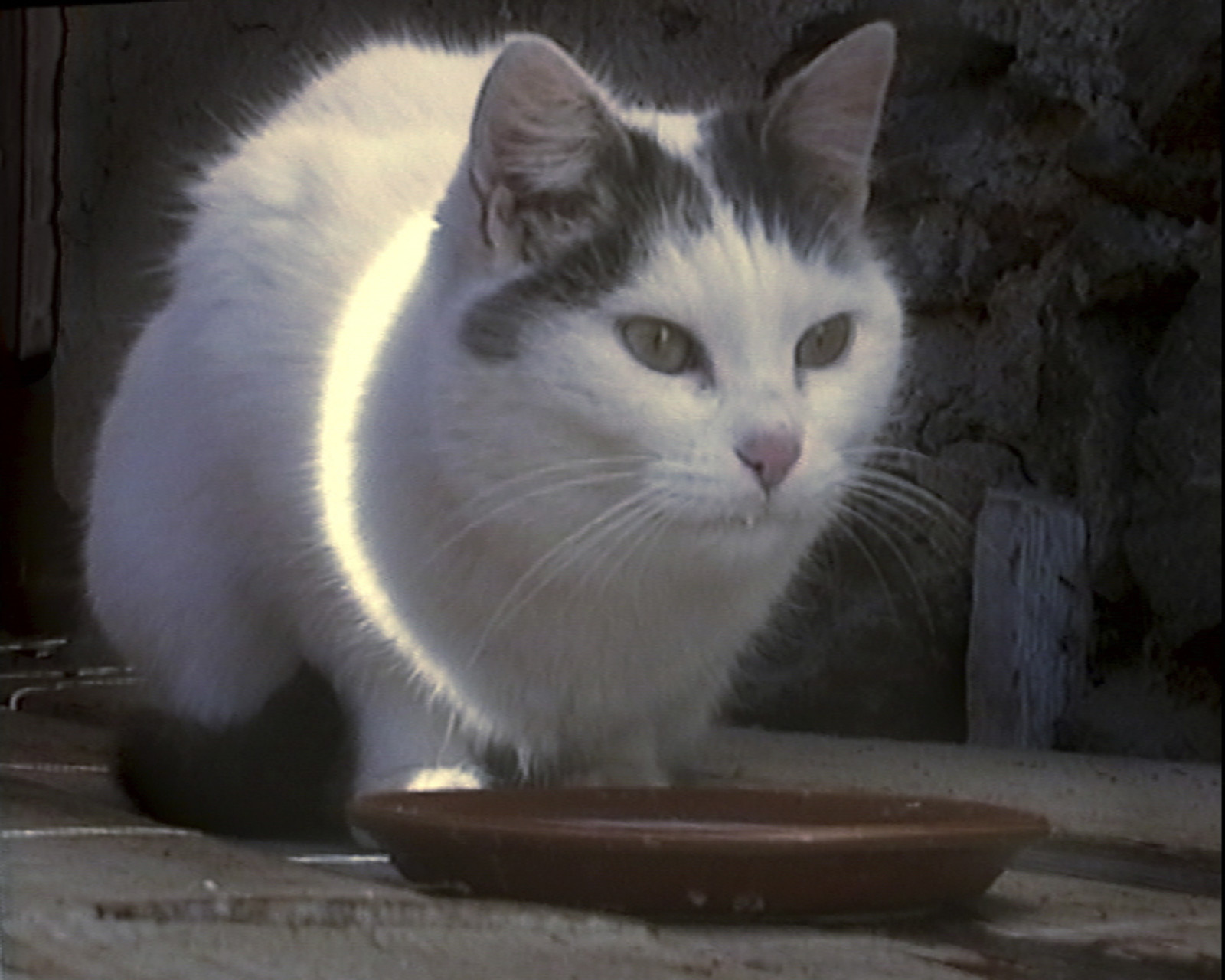Video by Peter Fischli <span class="no_wrap">David Weiss</span>, , dated 2001