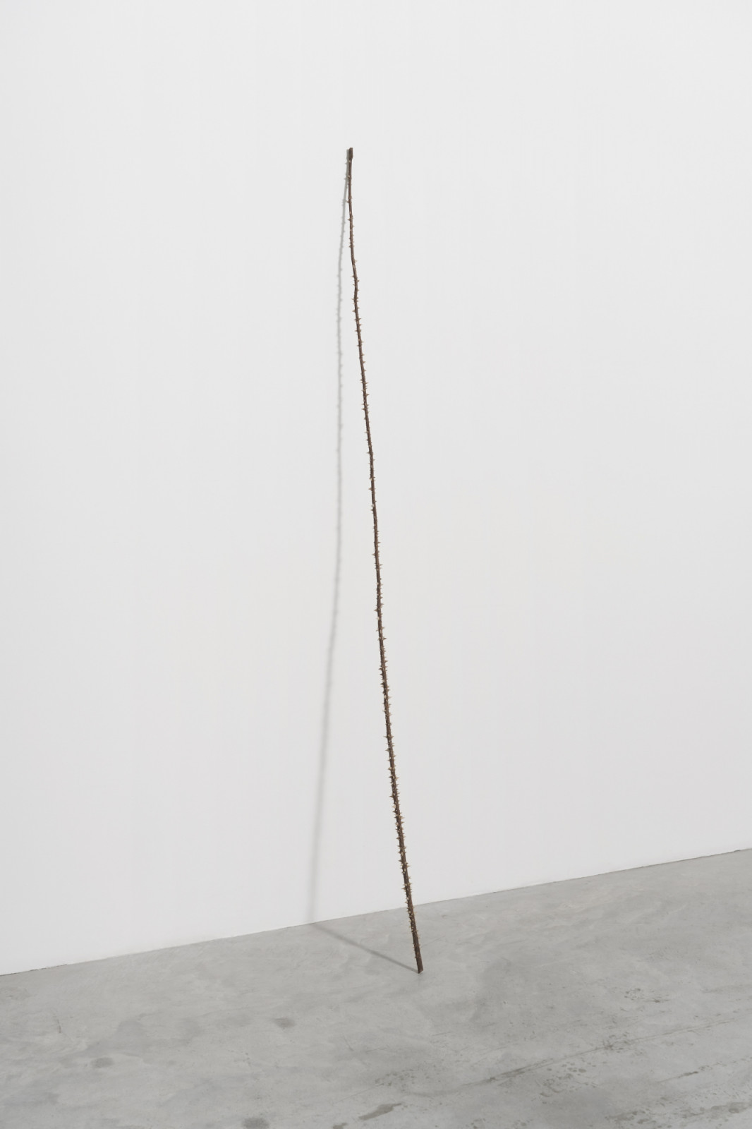 Sculpture by Vija Celmins, , dated 2023
