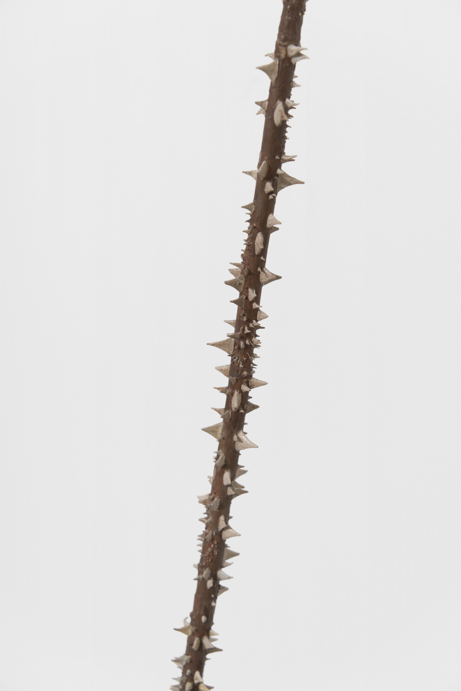 Sculpture by Vija Celmins, , dated 2023