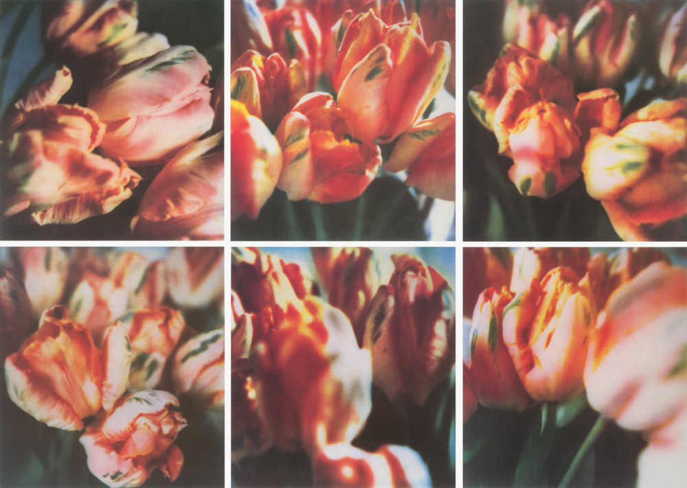 アート・デザイン・音楽 Cy Twombly Photographs: Cy Twombly Photographs: Lyrical Variations - Cy Twombly | moom