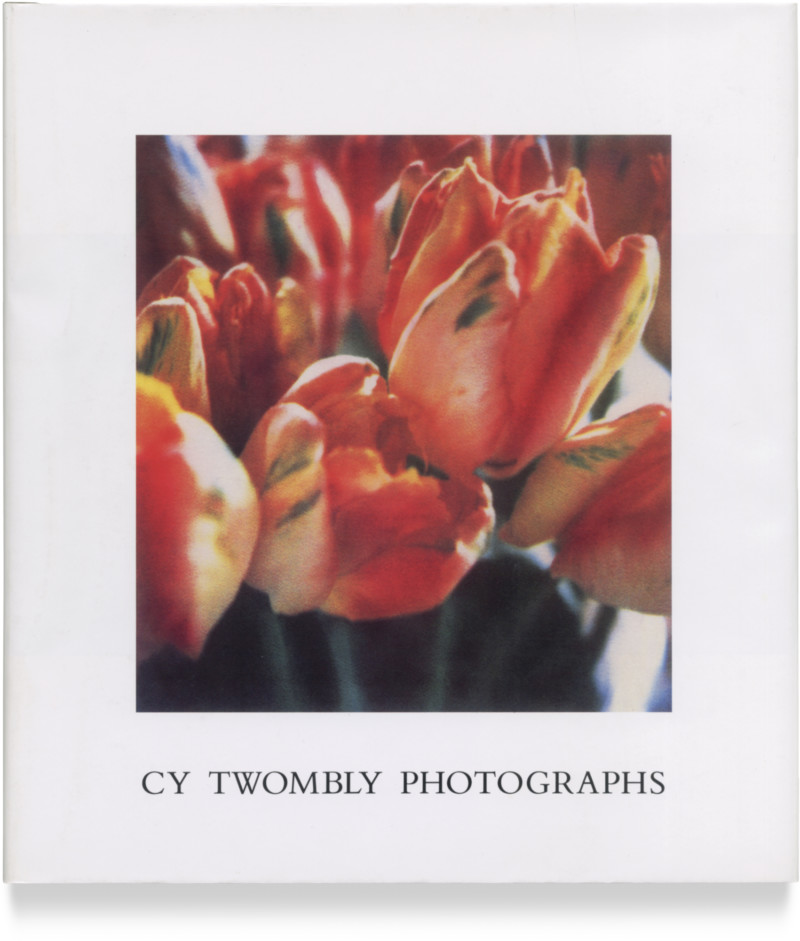 CY TWOMBLY Photographs | Matthew Marks Gallery