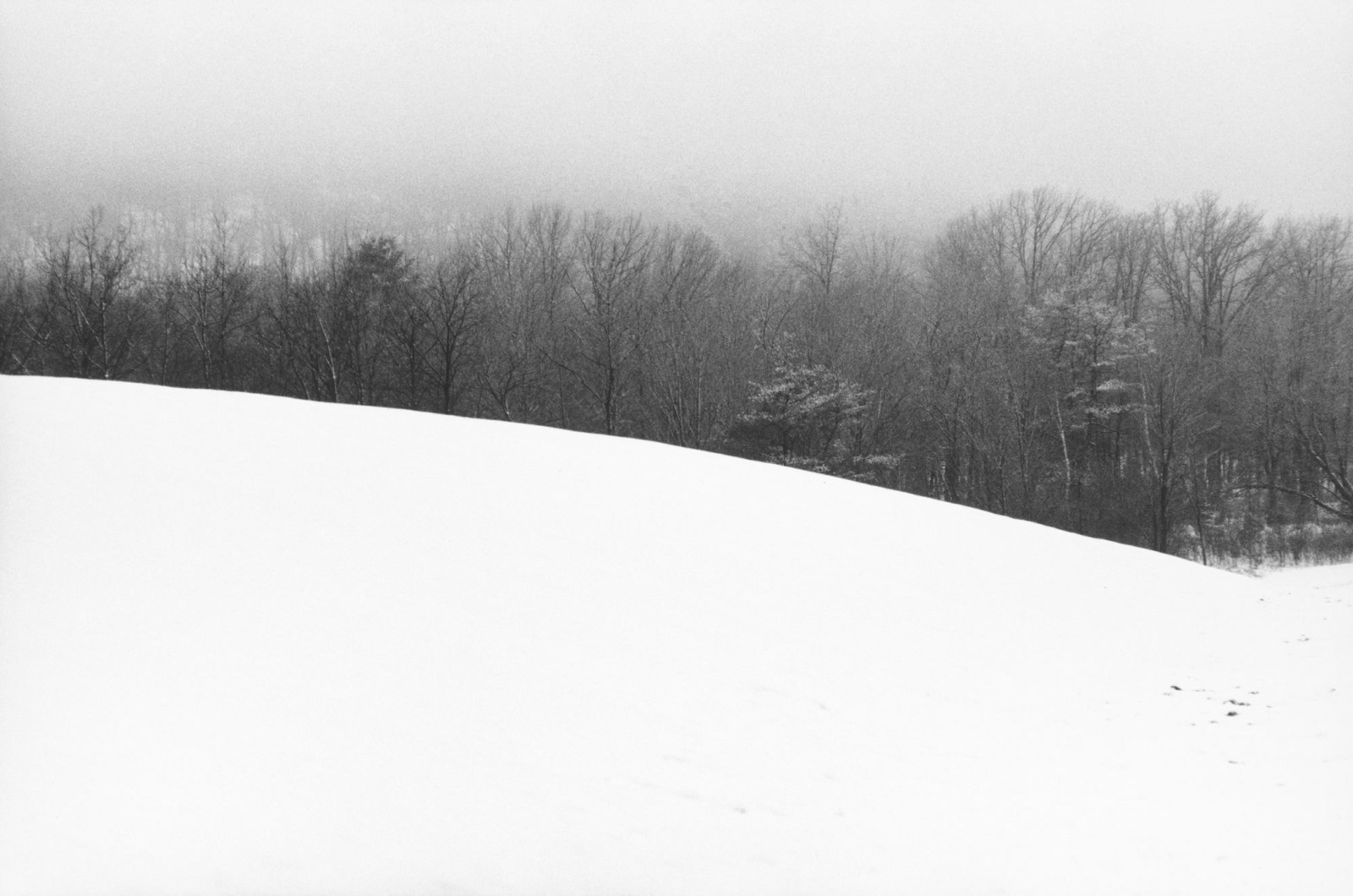 Artwork by Ellsworth Kelly, , dated 1970