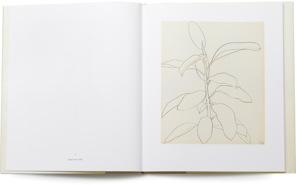ELLSWORTH KELLY Plant Drawings | Matthew Marks Gallery