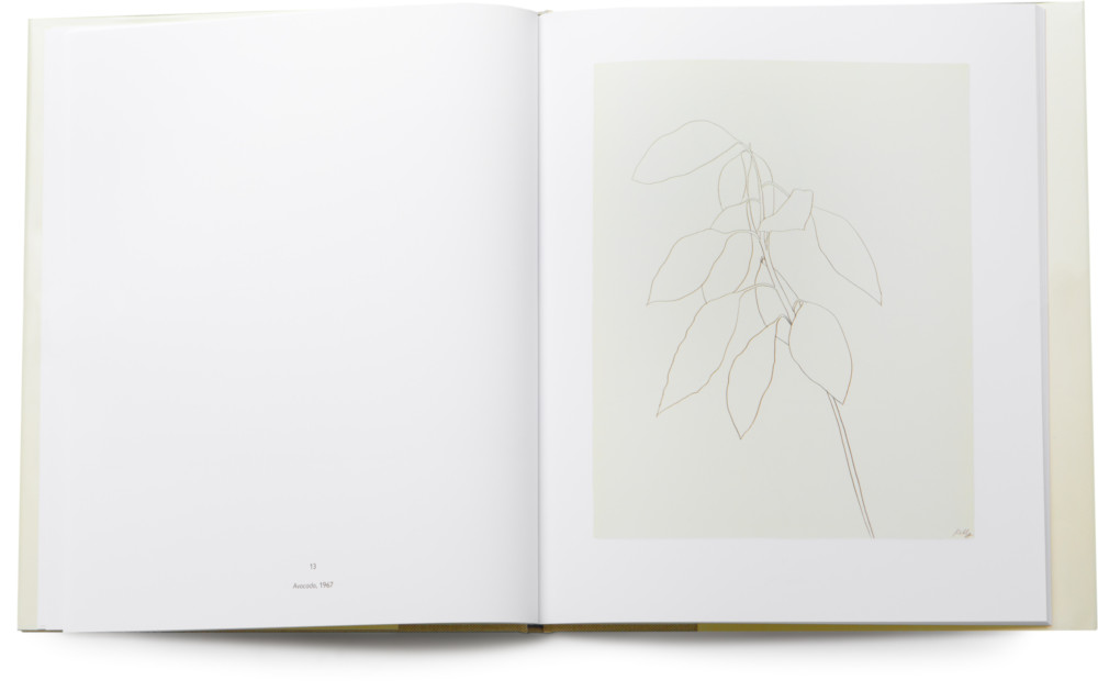 Ellsworth-Kelly_Plant-