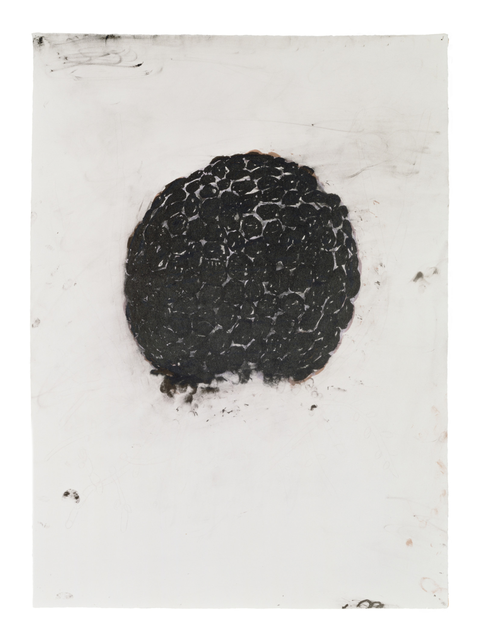 Print by Terry Winters, , dated 1985–86