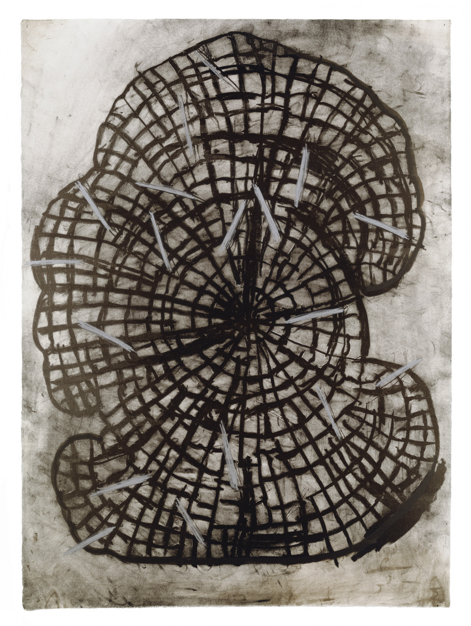 Print by Terry Winters, , dated 1985–86