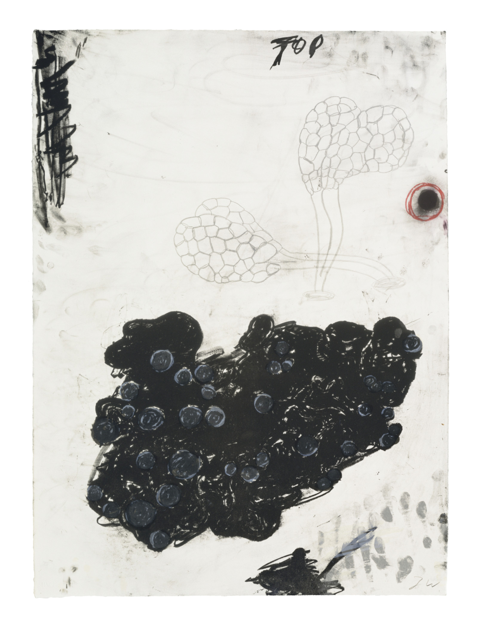 Print by Terry Winters, , dated 1985–86