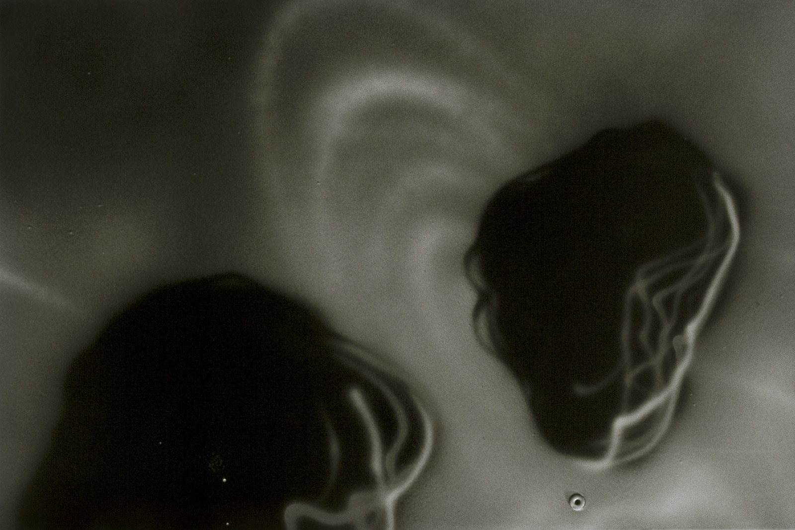Photograph by Peter Fischli <span class="no_wrap">David Weiss</span>, , dated 2005