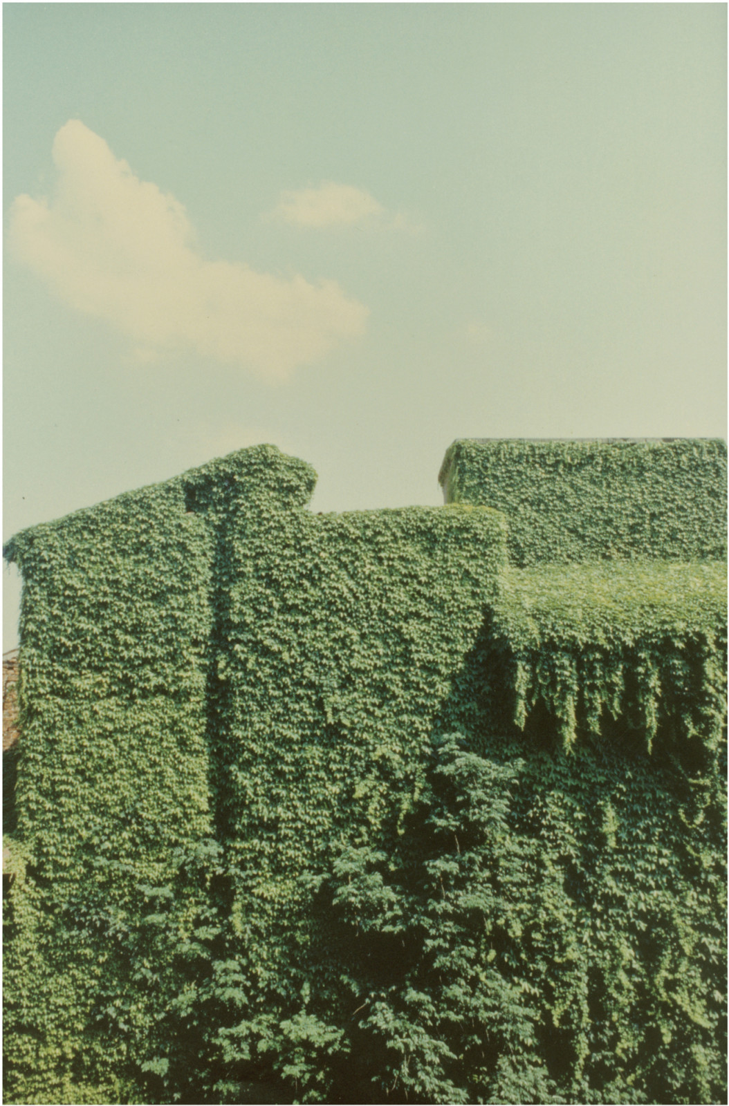 Photograph by Luigi Ghirri, , dated 1981