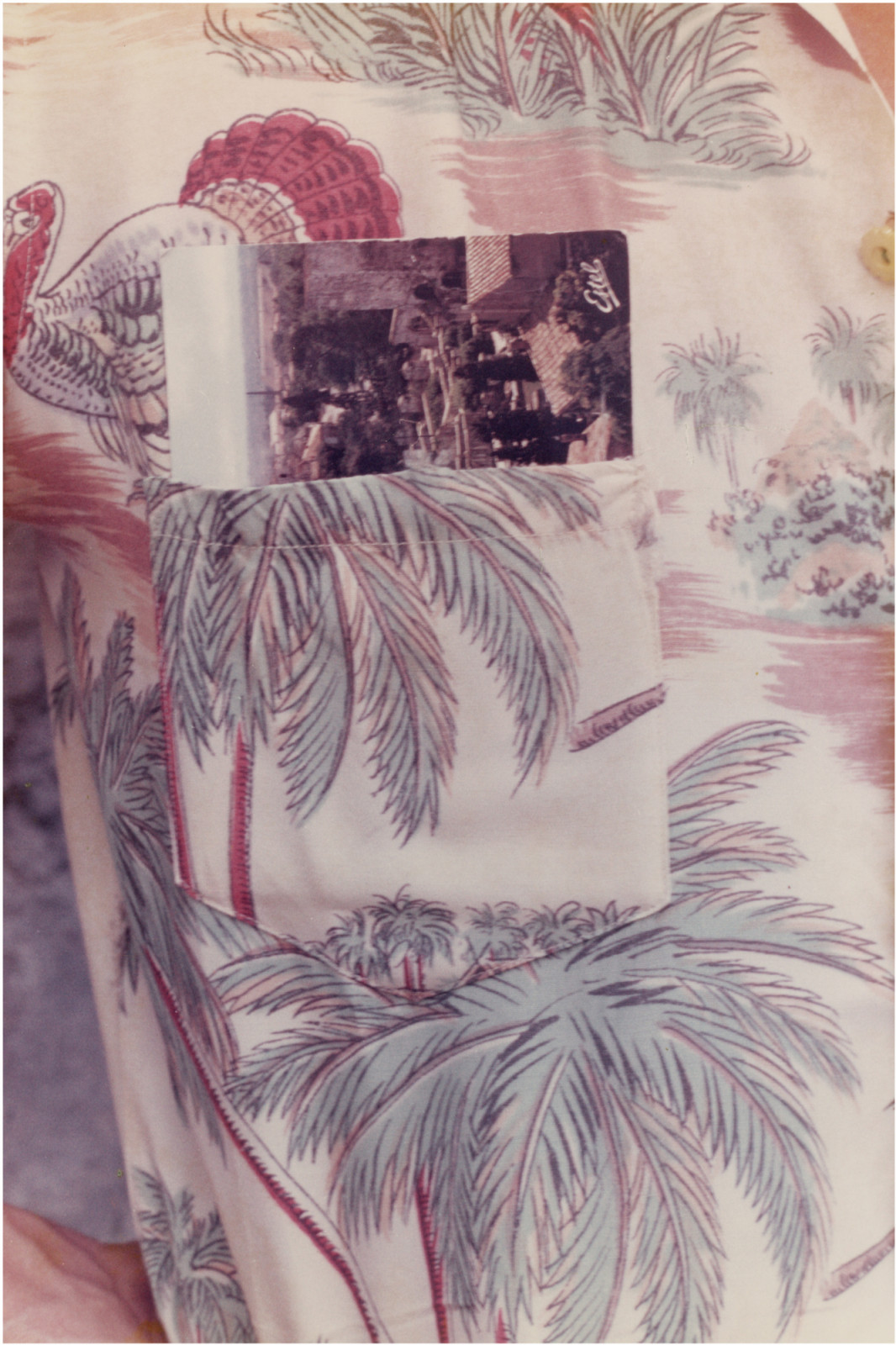 Photograph by Luigi Ghirri, , dated 1978
