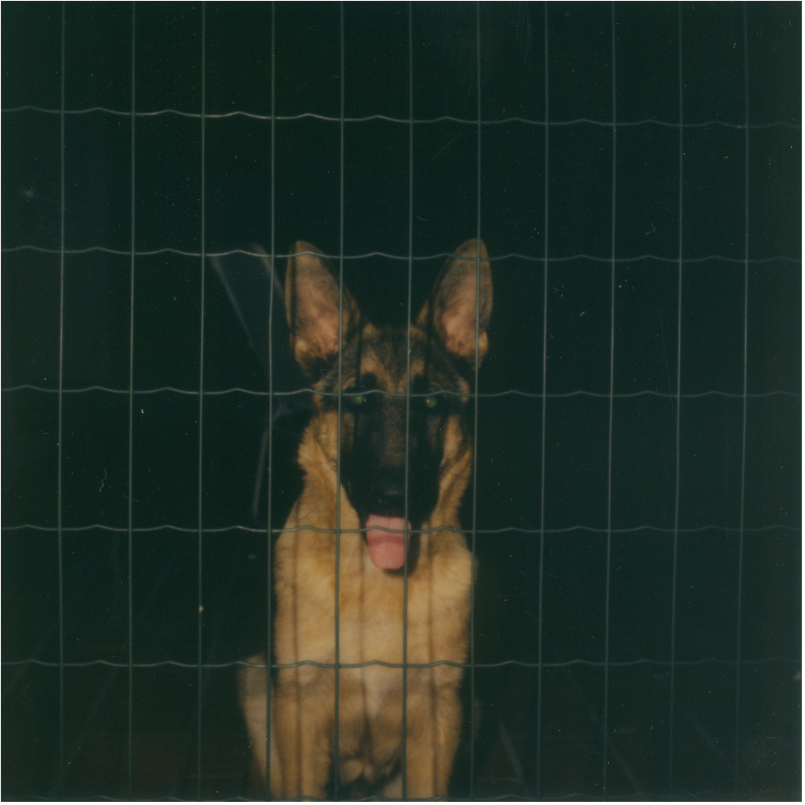 Photograph by Luigi Ghirri, , dated 1980