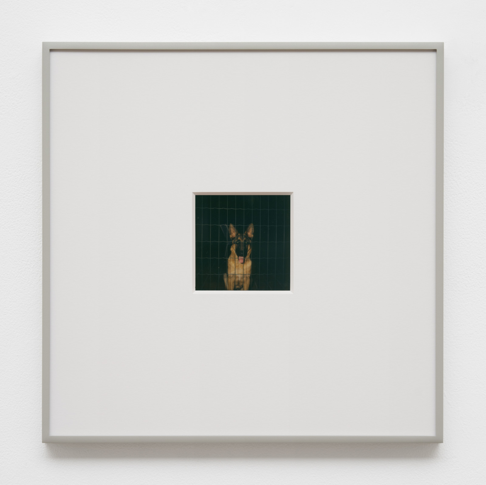 Photograph by Luigi Ghirri, , dated 1980