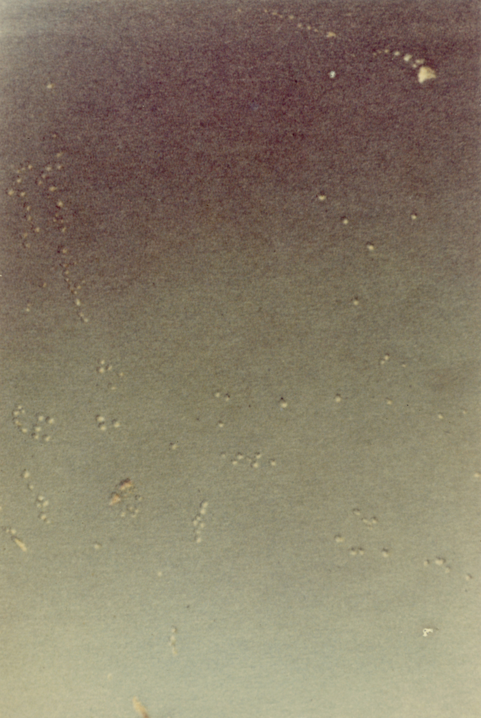 Artwork by Luigi Ghirri, , dated 1973