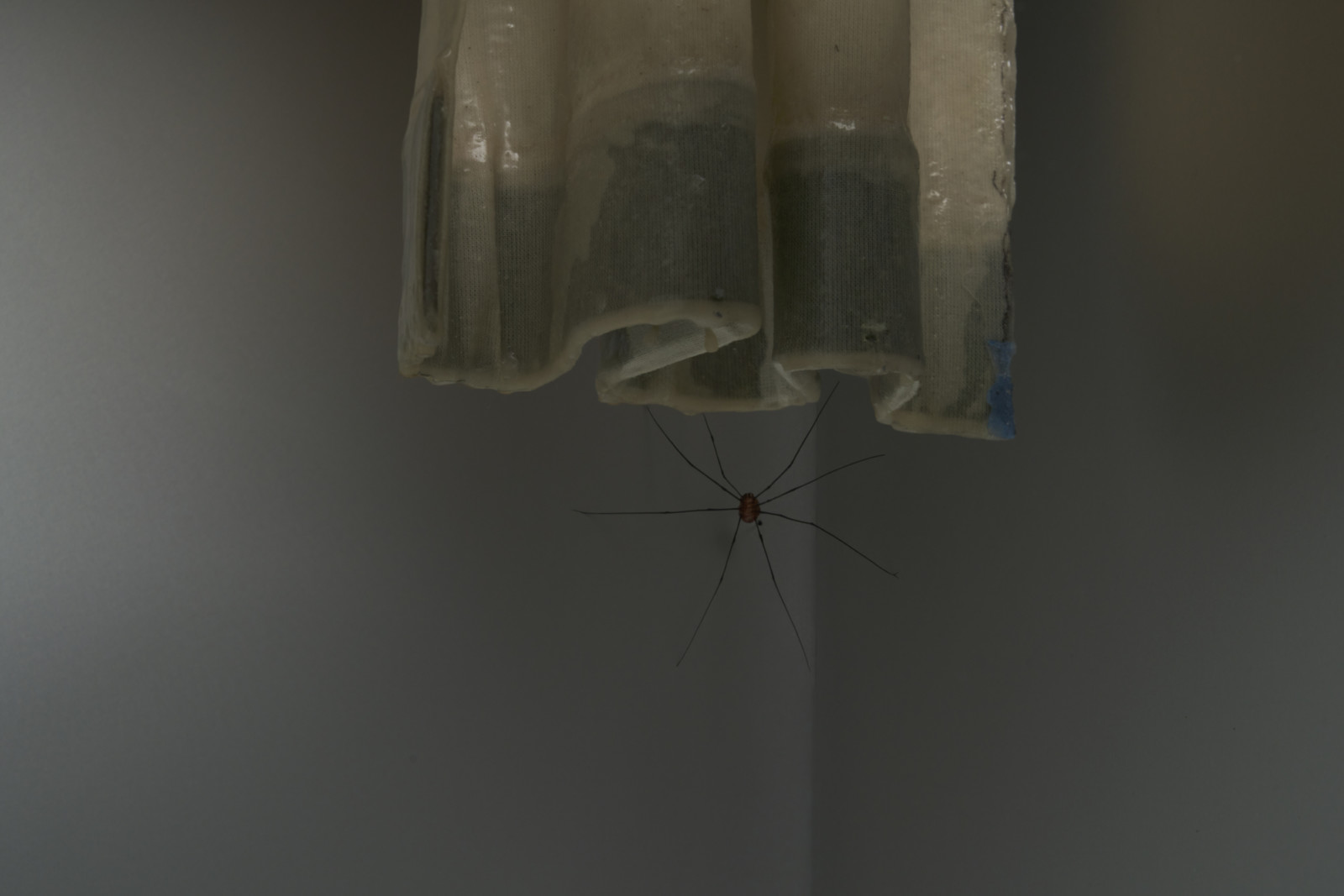 Sculpture by Robert Gober, , dated 2018–2022