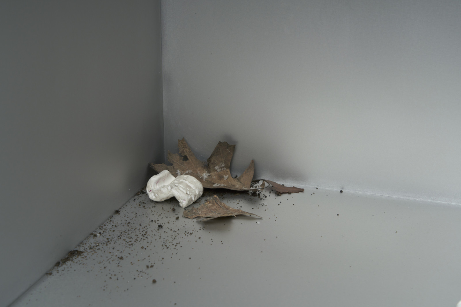 Sculpture by Robert Gober, , dated 2018–2022