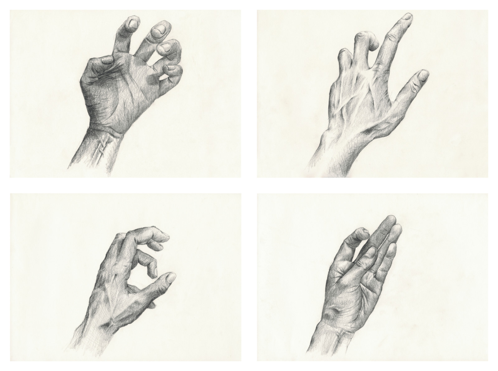 Drawing by Julia Phillips, , dated 2014