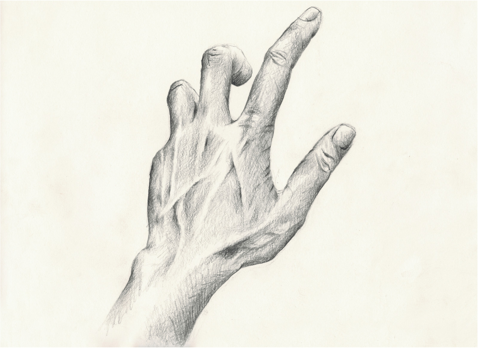 Drawing by Julia Phillips, , dated 2014