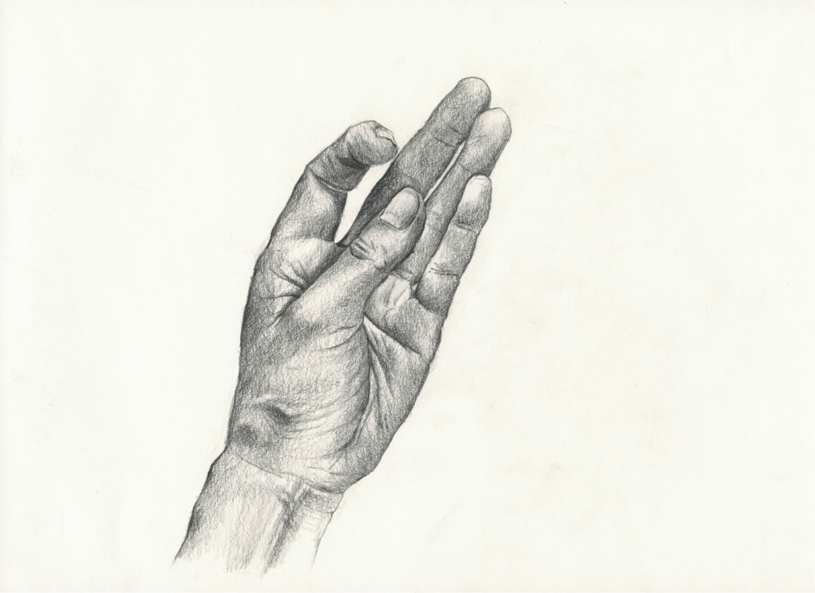 Drawing by Julia Phillips, , dated 2014