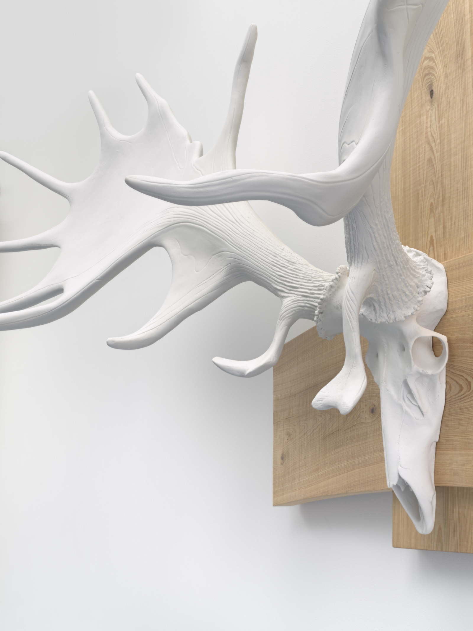 Sculpture by Martin Puryear, , dated 2018