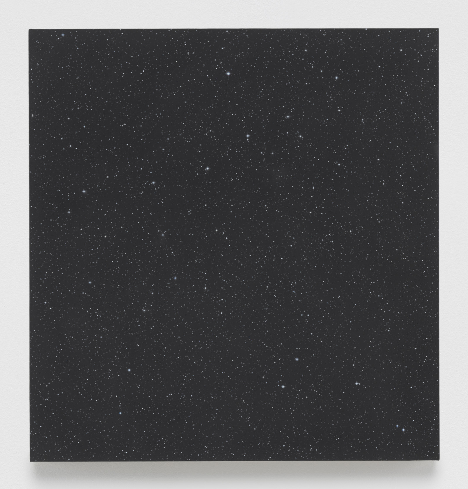 Painting by Vija Celmins, , dated 2016