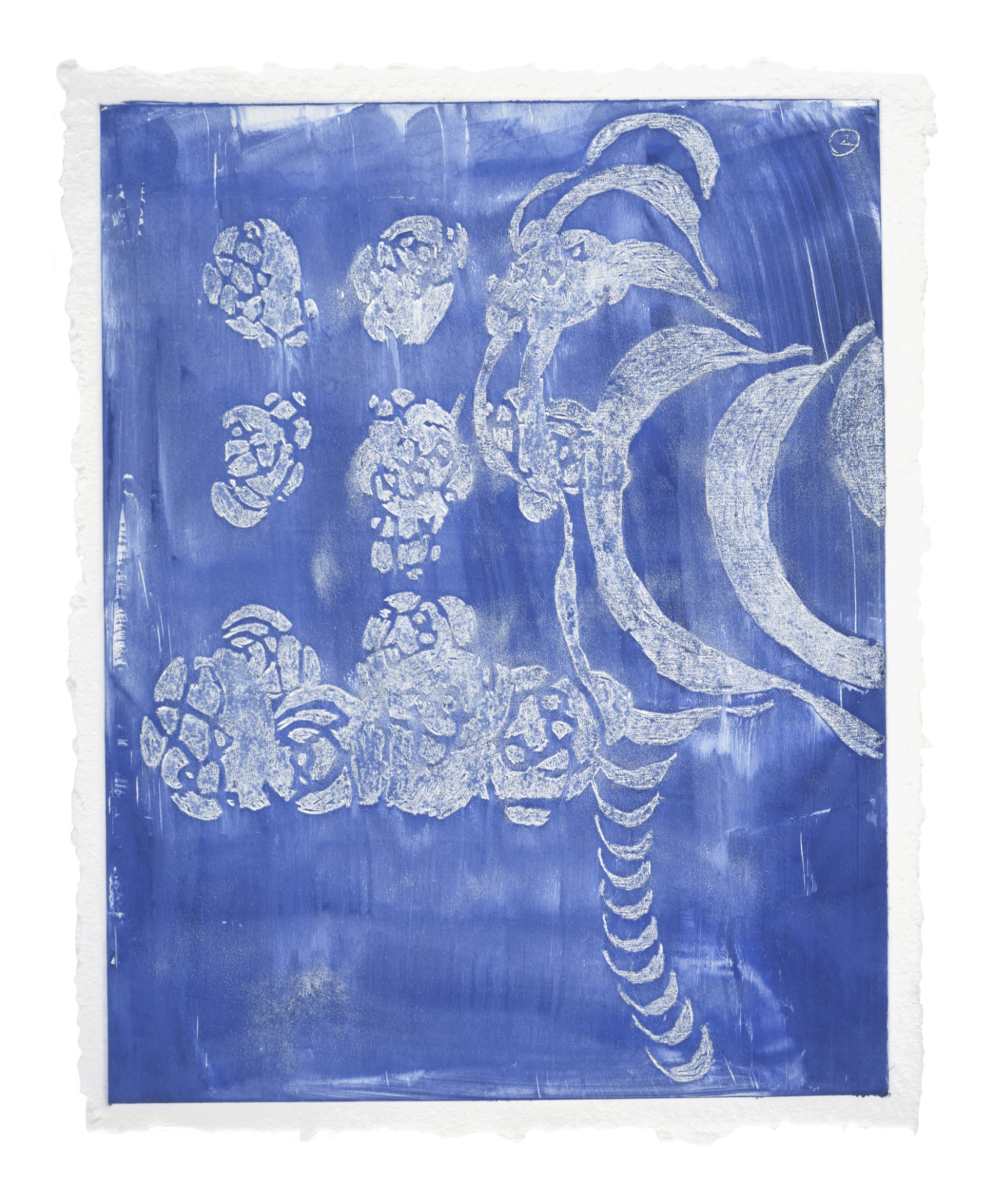 Print by Terry Winters, , dated 2005
