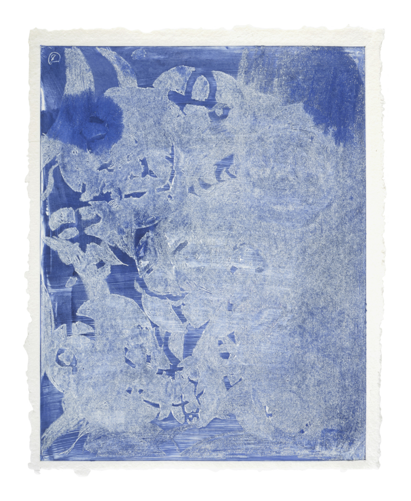 Print by Terry Winters, , dated 2005