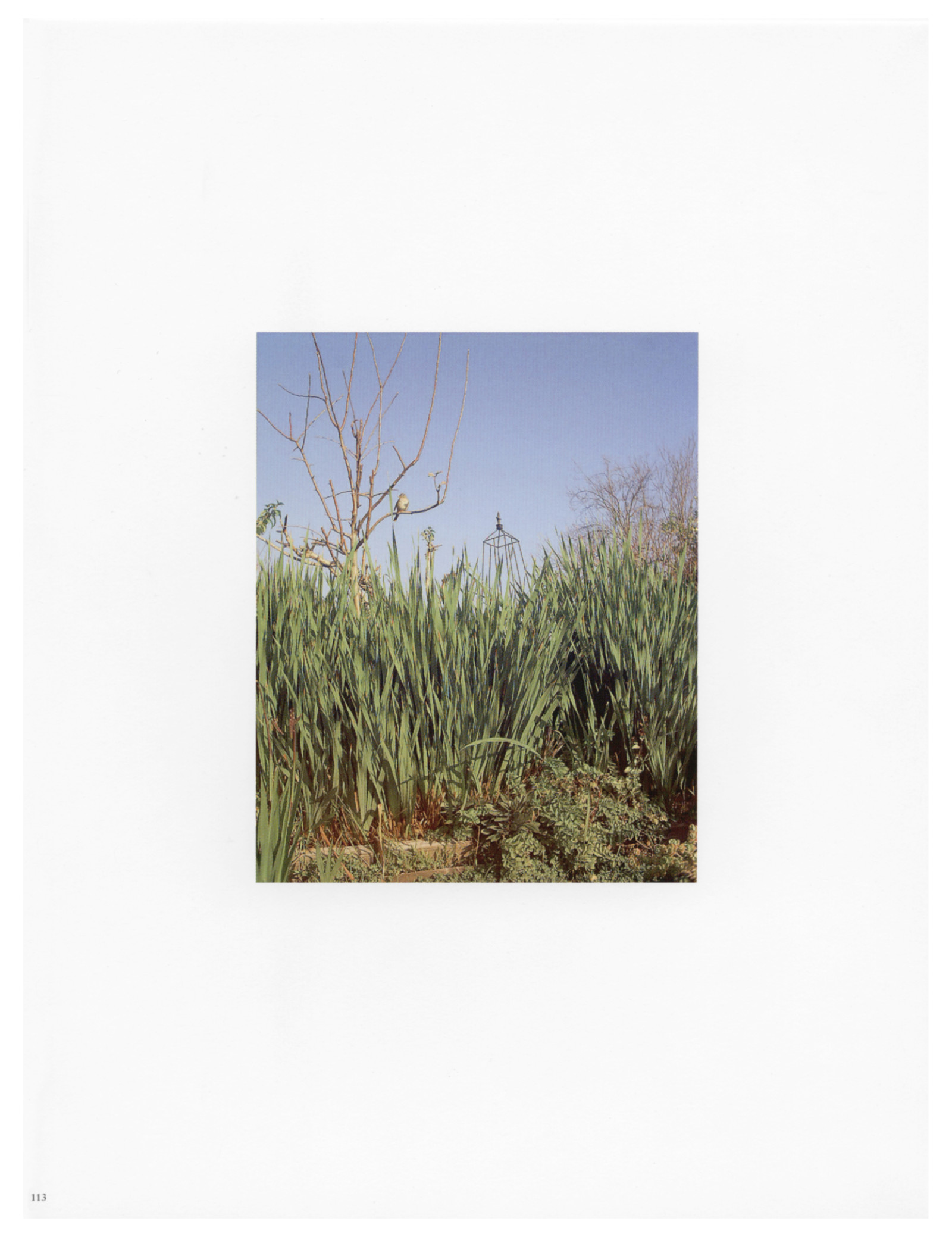 Print, dated 2011