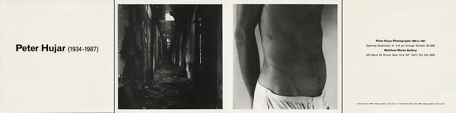 Announcement Image for this Exhibition