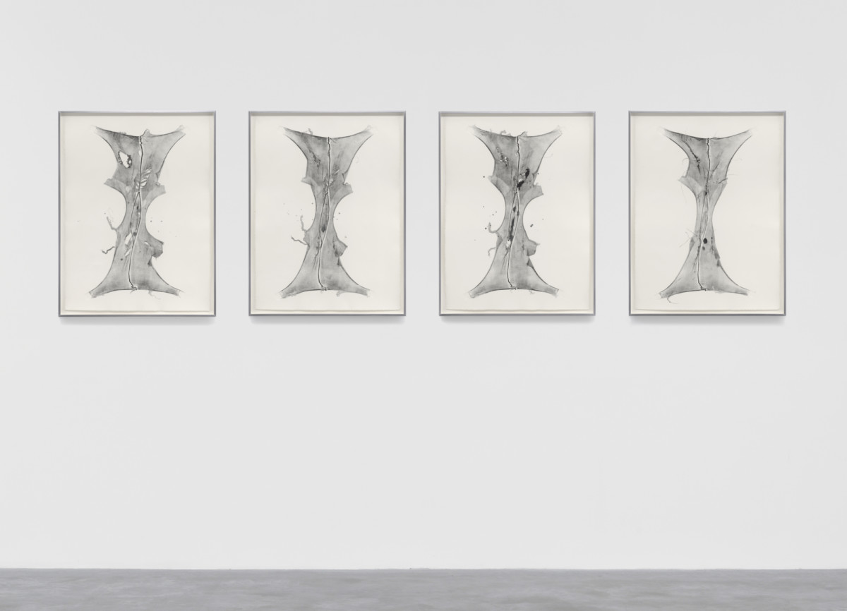 <p><em>Expanded X, Treated Twice</em> 2018<br />From the series <em>Expanded, In Treatment<br /></em>The Museum of Modern Art, New York</p>