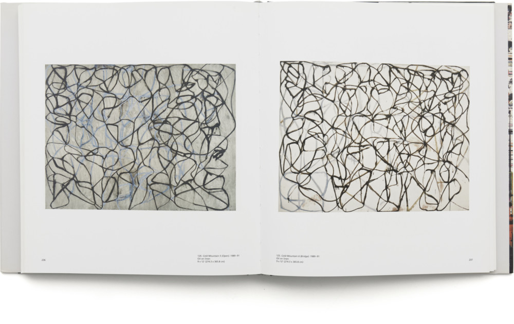 BRICE MARDEN Plane Image: A Brice Marden Retrospective | Matthew