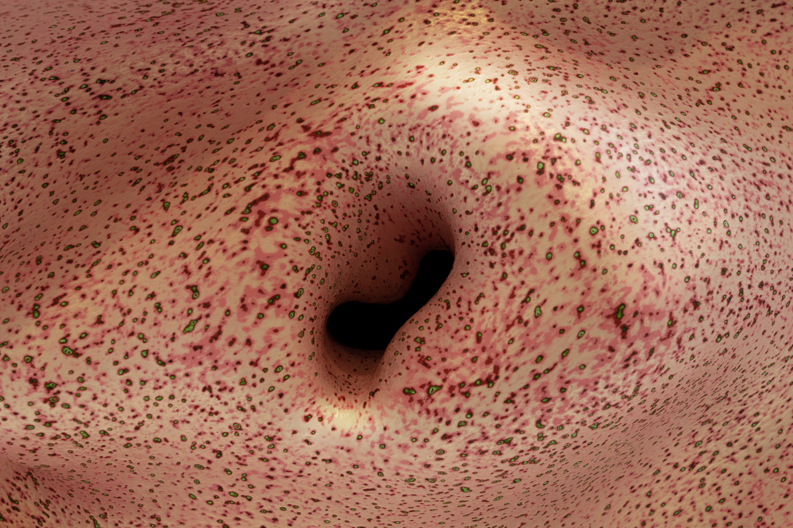 Sculpture by Ken Price, , dated 1998