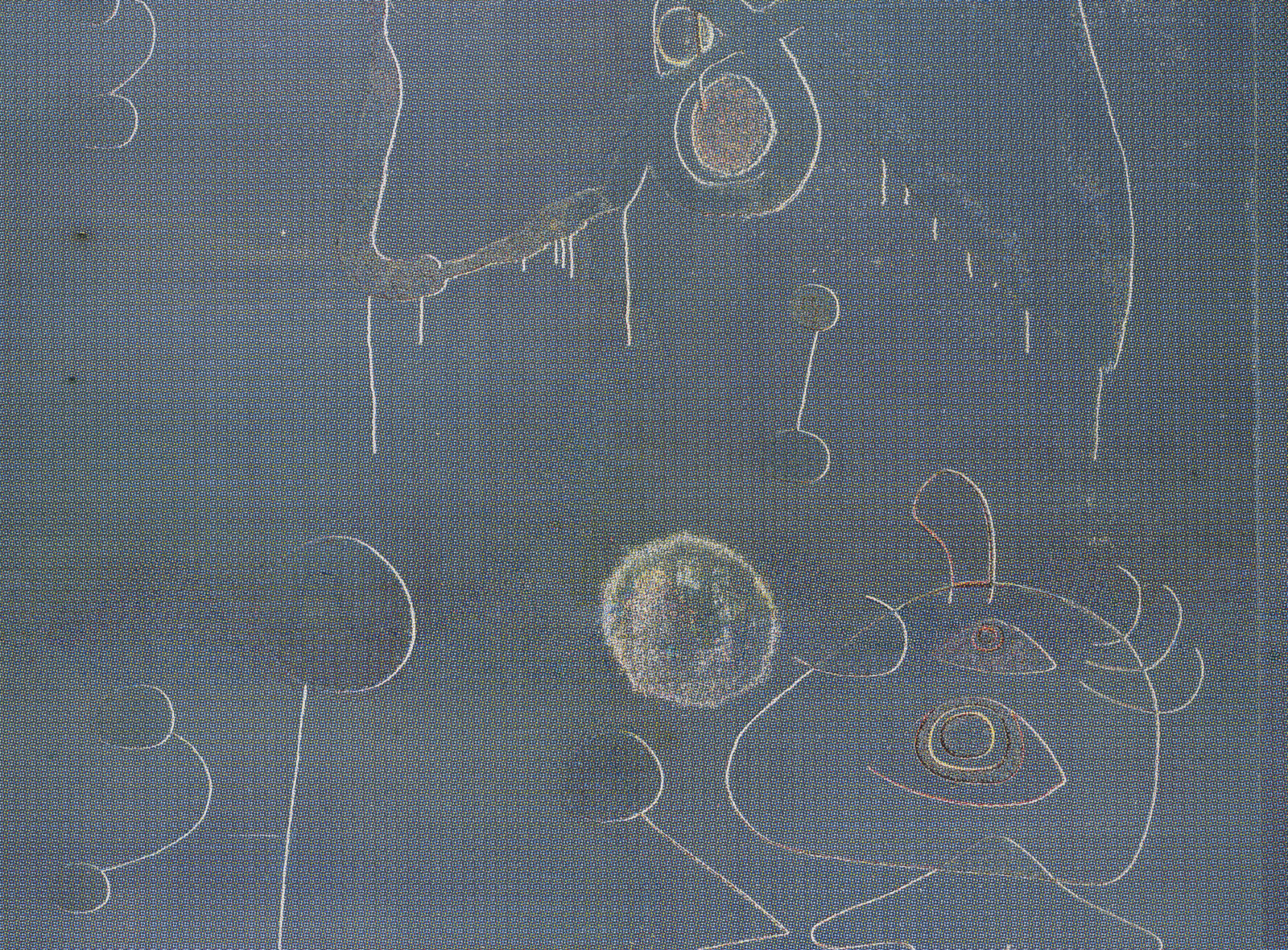 Artwork by Paul Sietsema, , dated 2020