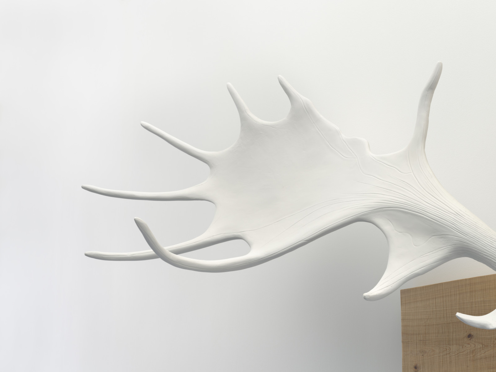 Artwork by Martin Puryear, , dated 2018