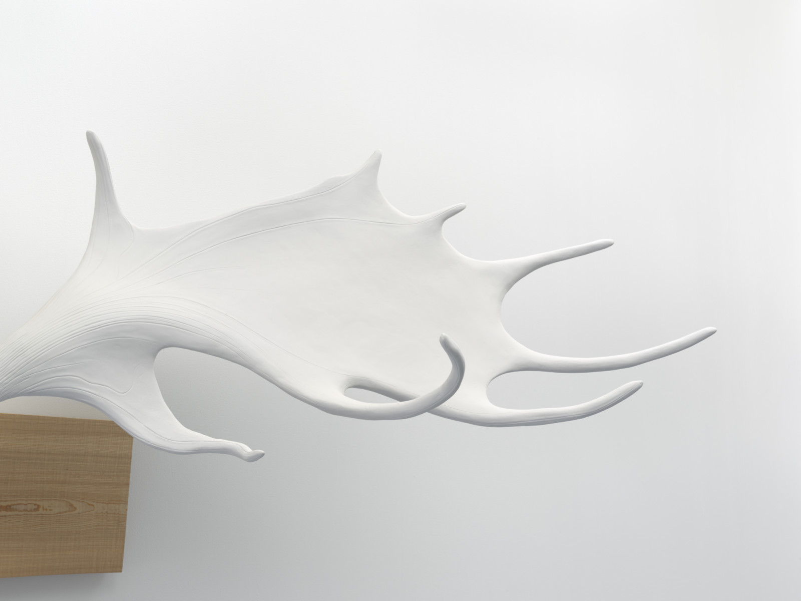 Artwork by Martin Puryear, , dated 2018