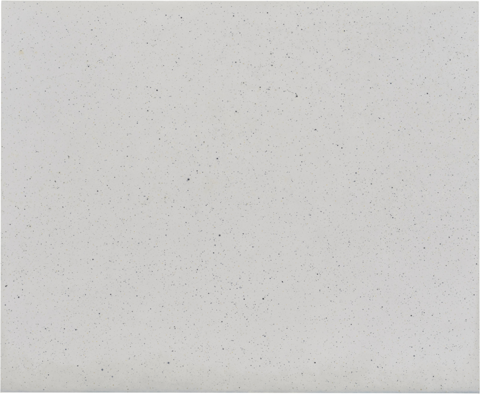 Painting by Vija Celmins, , dated 2015–17