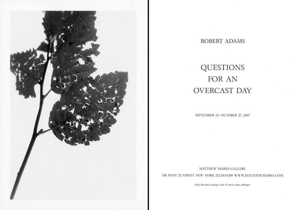 Announcement Image for this Exhibition