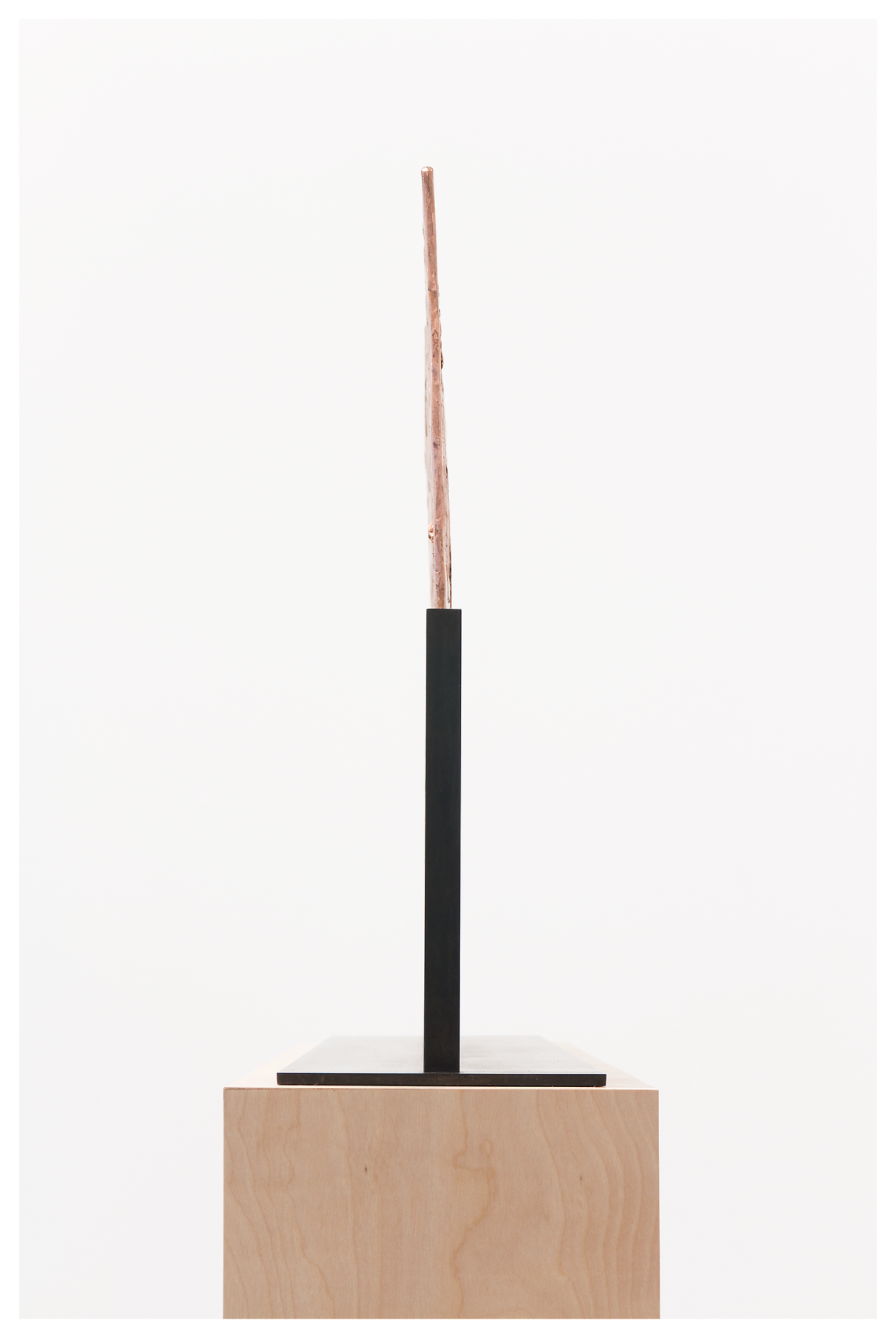 Sculpture by Jasper Johns, , dated 2009–12