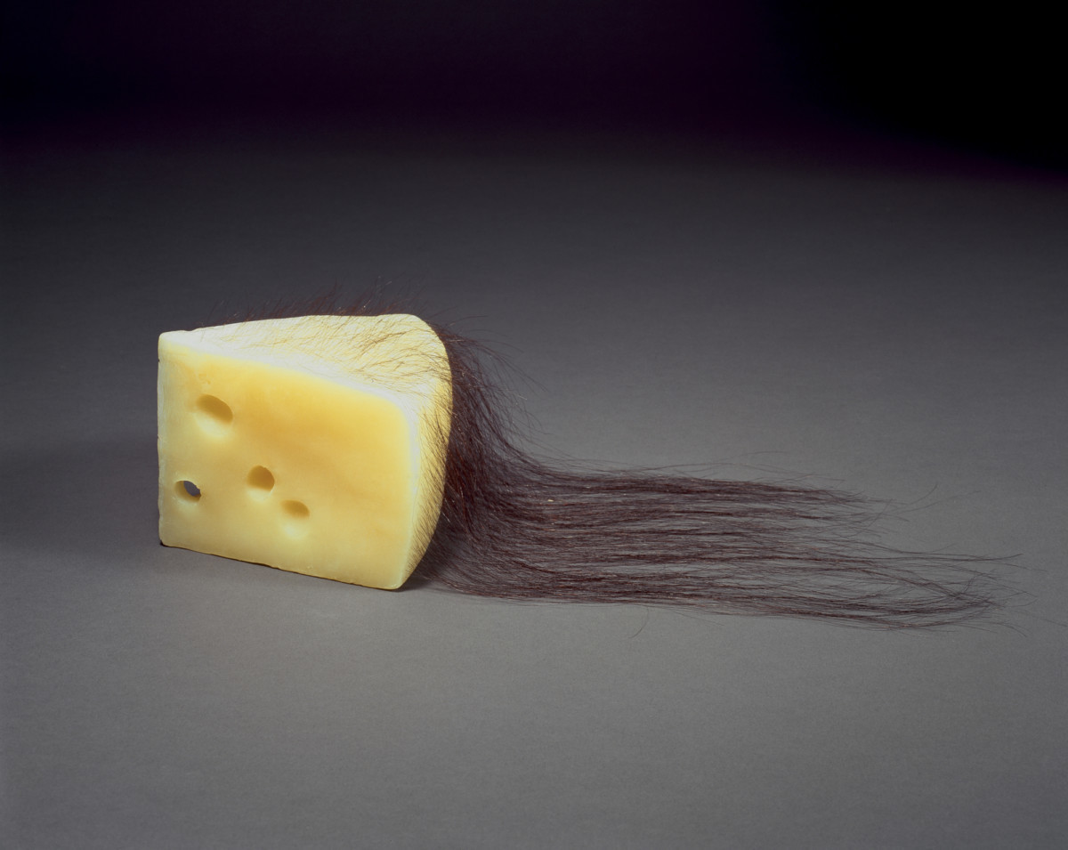 <p><em>Untitled</em> 2005 Beeswax and human hair<br />The Menil Collection, Houston</p>
