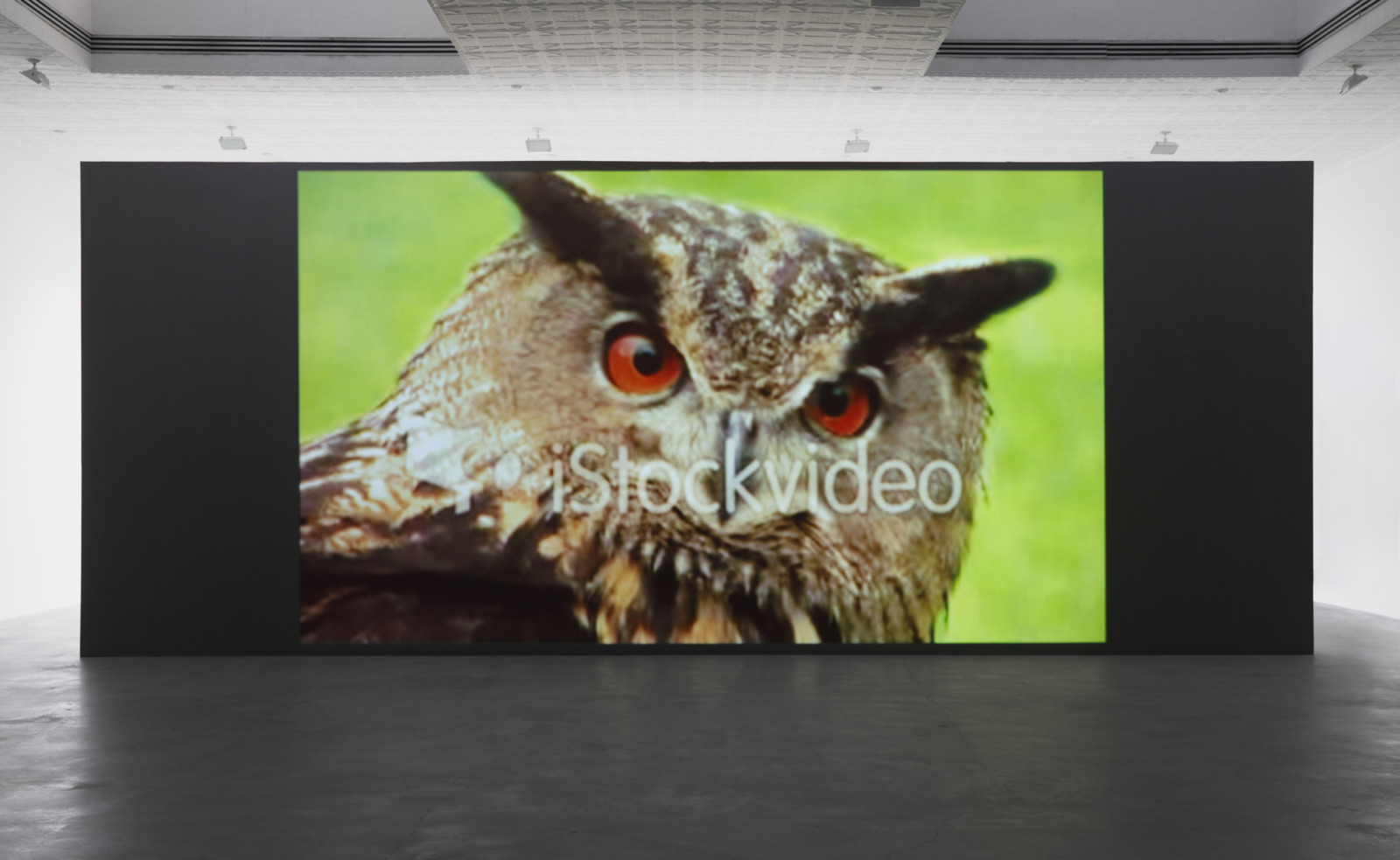 Video by Sturtevant, , dated 2010