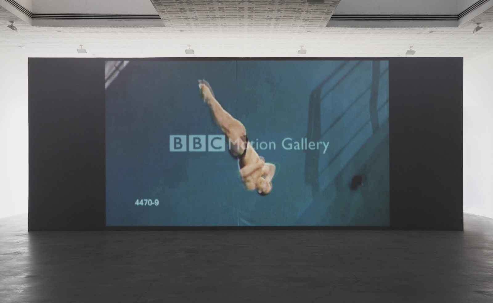 Video by Sturtevant, , dated 2010