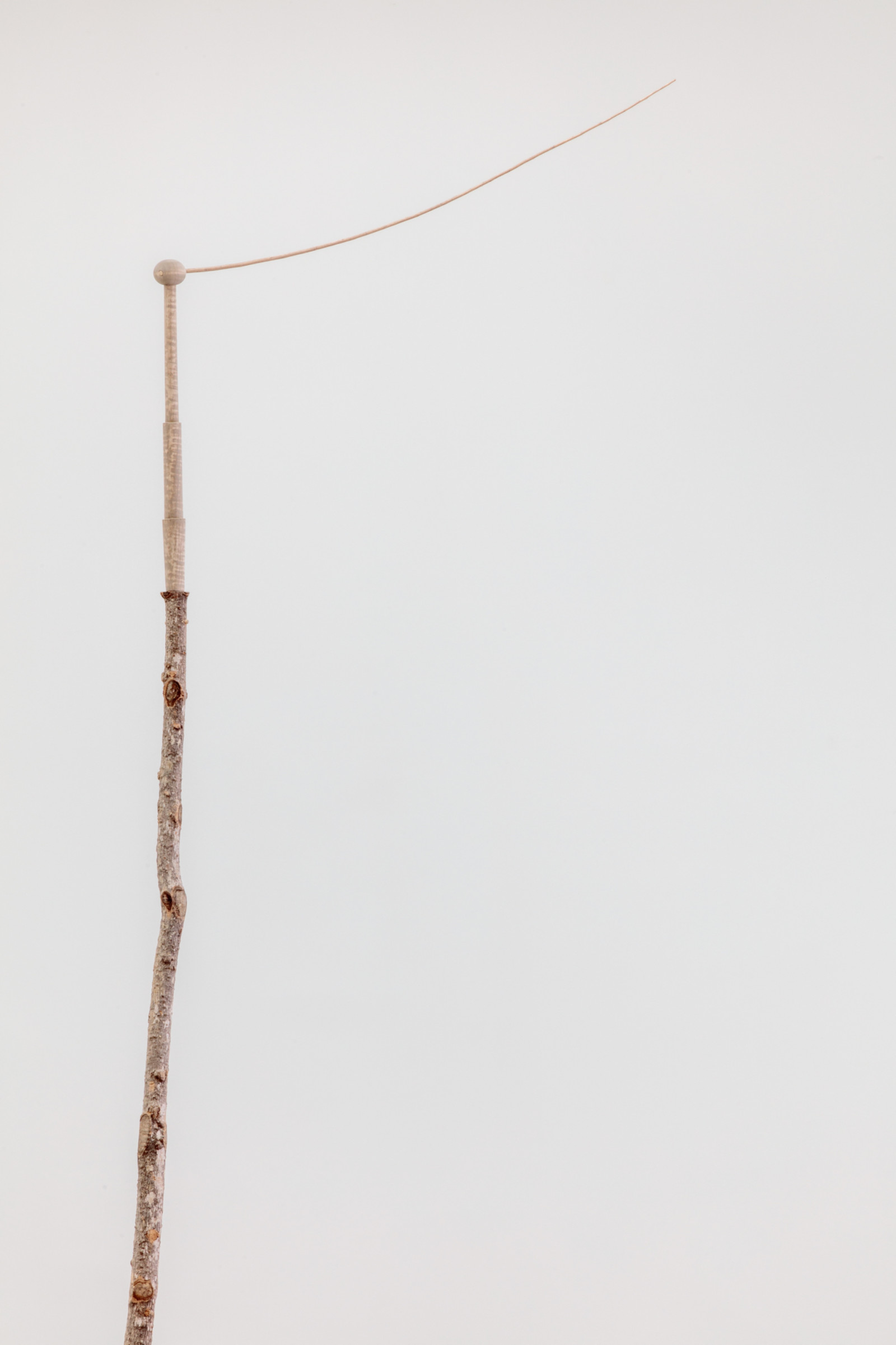 Sculpture by Martin Puryear, , dated 2017