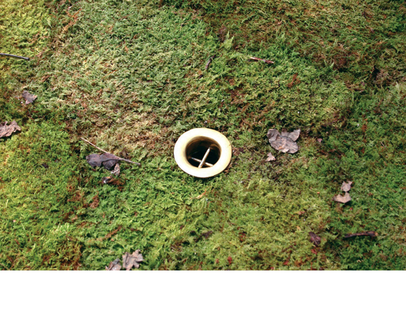 Artwork by Robert Gober, , dated 1998