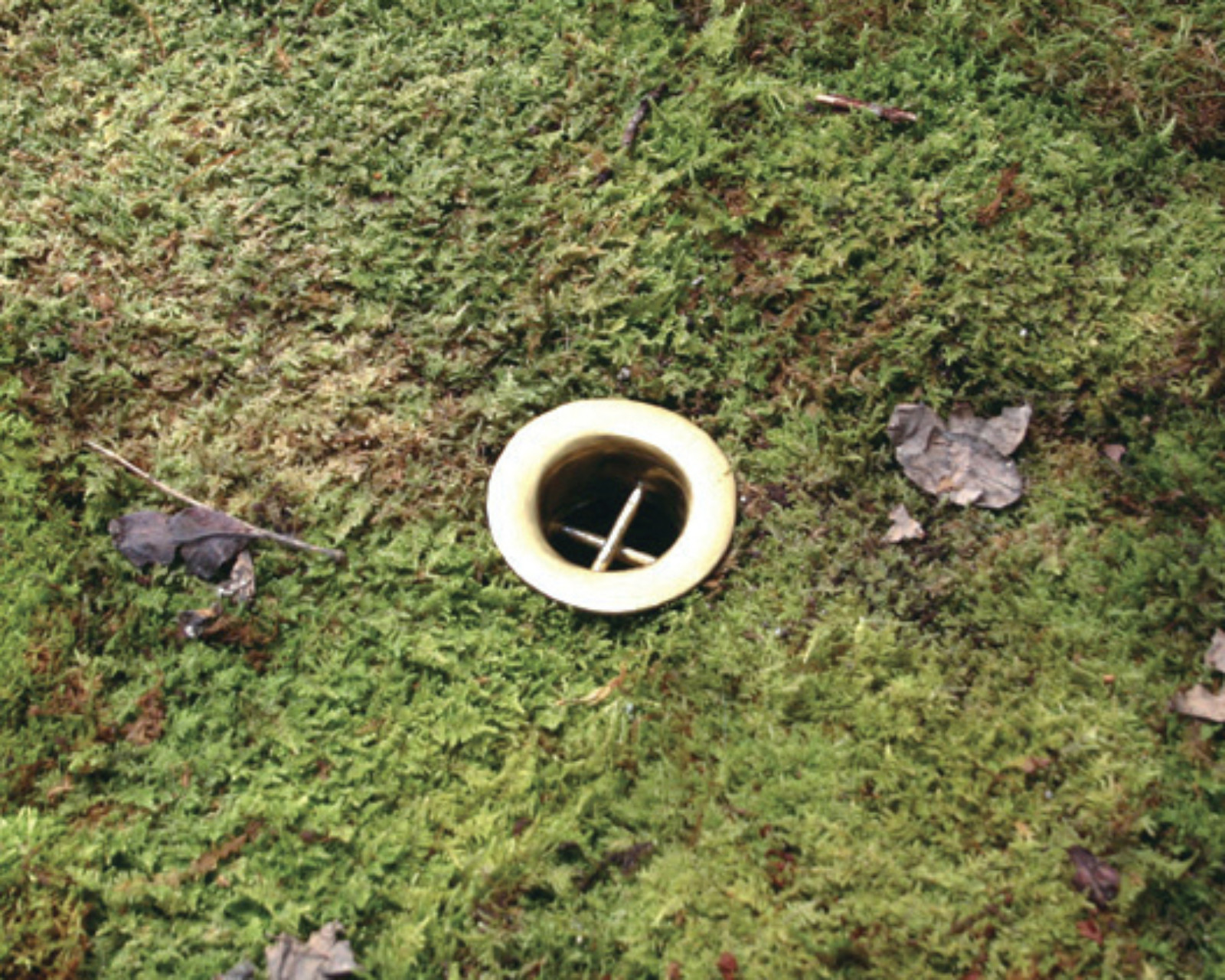 Artwork by Robert Gober, , dated 1998